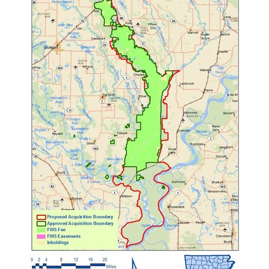 Dale Bumpers White River National Wildlife Refuge