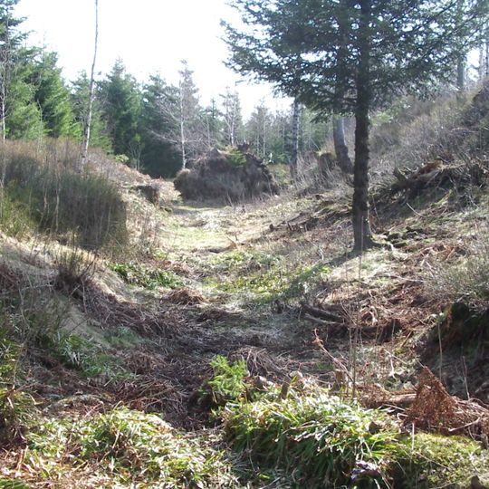 Kniebis-Alexanderschanze