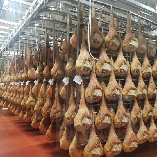 Prosciutti Dok Dall'Ava