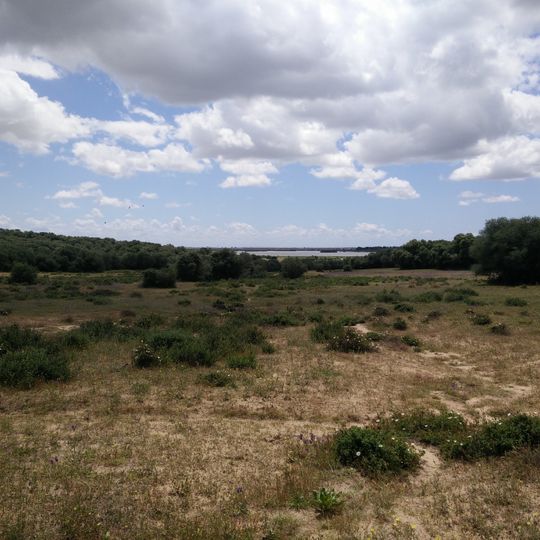 Dehesa de Abajo Natural Reserve