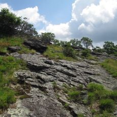 Buffalo Mountain Natural Area Preserve