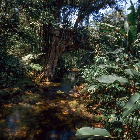 Reserva Particular do Patrimônio Natural Salto Morato