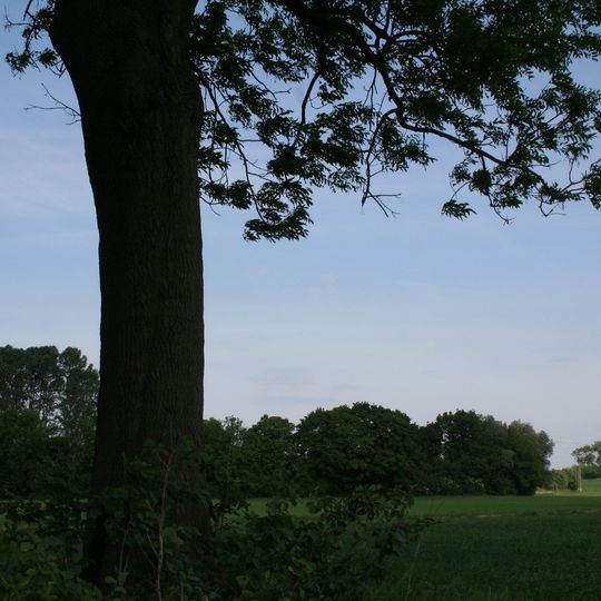 Manor Park in Nowy Dwór Królewski