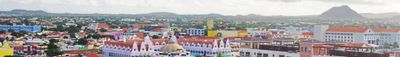 Panoramic View 0