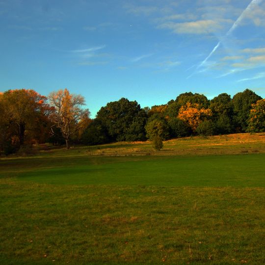 Hampstead Heath