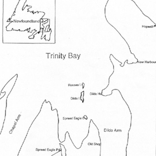 Dildo Island
