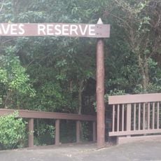 Alice Eaves Scenic Reserve