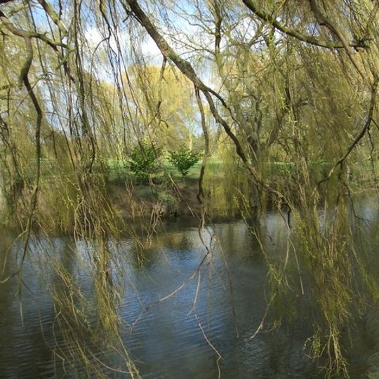 Moated site 90m north west of Moat House
