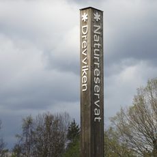 Drevviken