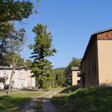 Zespół dworski (zdrojowy)