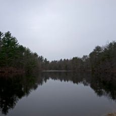 Ballard State Forest