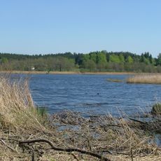 Metzisweiler Weiher