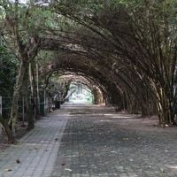 타쿠롱