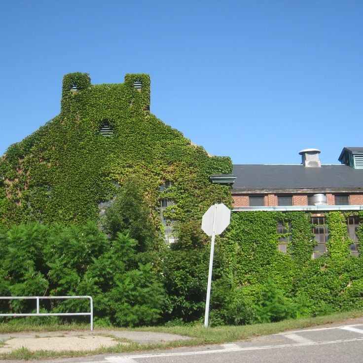 Walter E. Fernald Developmental Center