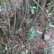 Kříž jižně od Milíkova I