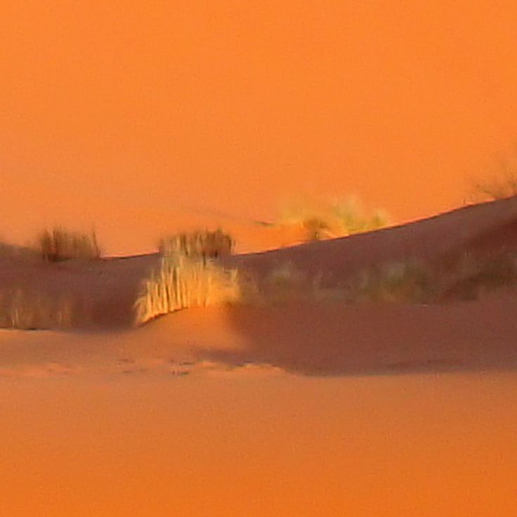 Erg Chebbi