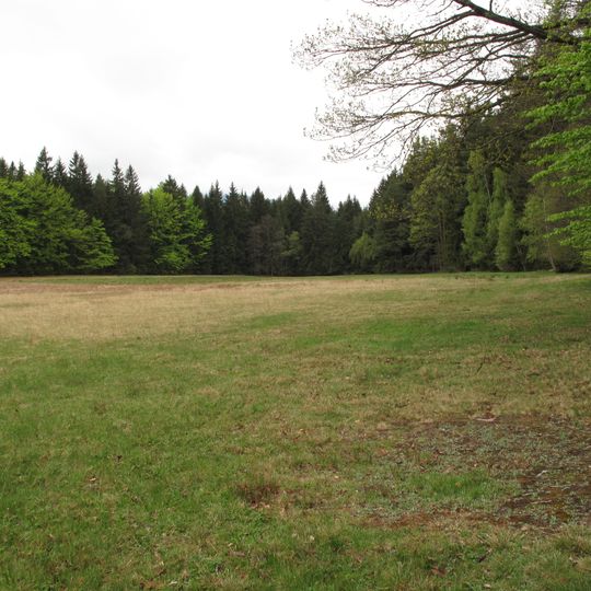 Provázková meadow