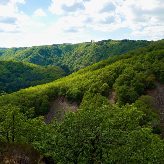 Saar-Steilhänge/Lutwinuswald