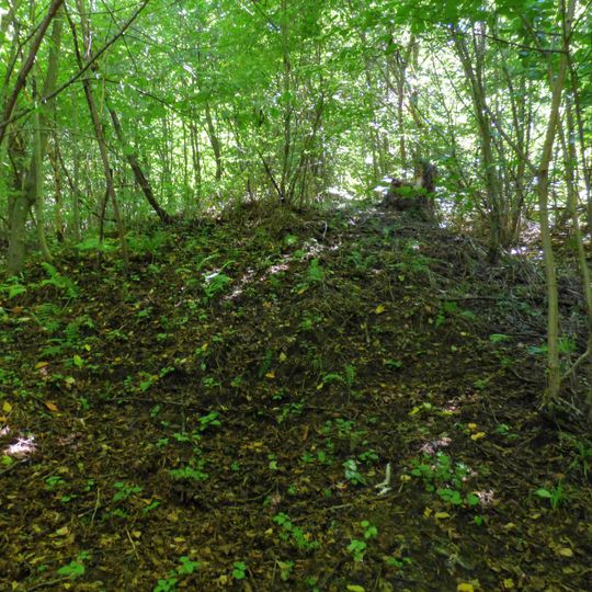 Hügelgräberfeld Steinberg