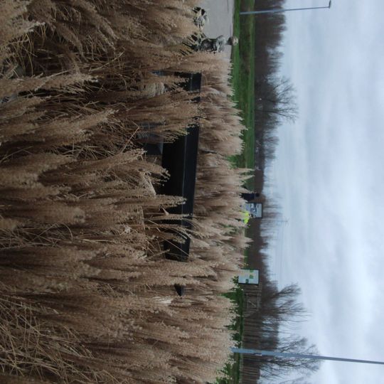 Opera d'arte, scultura