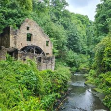 Jesmond Dene