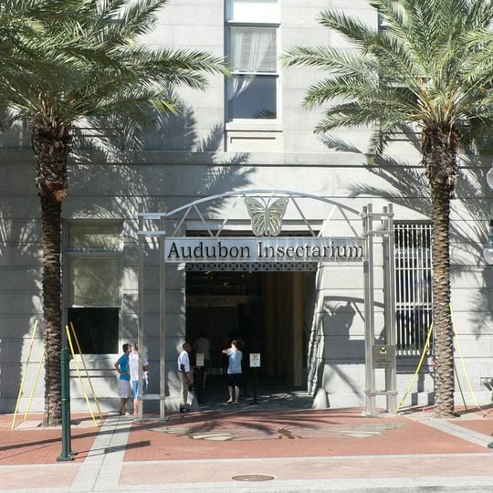 Audubon Insectarium