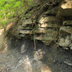 Lias-Aufschluss im Teufelsgraben S von Oedhof