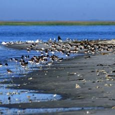 Wolf Island National Wildlife Refuge
