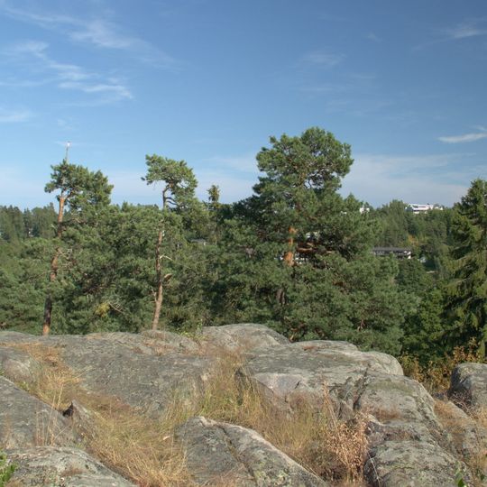 Vartiokylän linnavuori