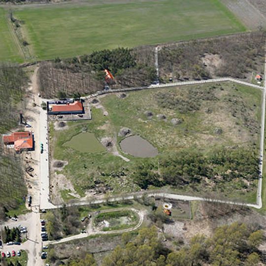 Bear Farm Veresegyház