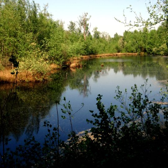 Burlo-Vardingholter Venn und Entenschlatt
