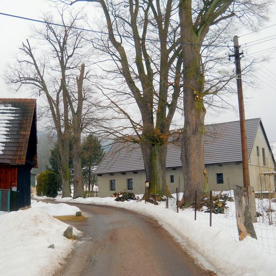 Památné stromy v Rybné nad Zdobnicí