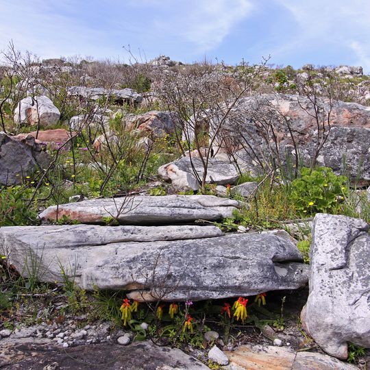 Slangkop Nature Reserve