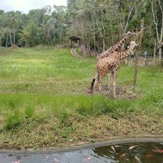 Cebu Safari and Adventure Park