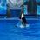 SeaWorld Orlando