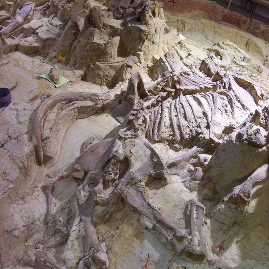 Mammoth Site, Hot Springs