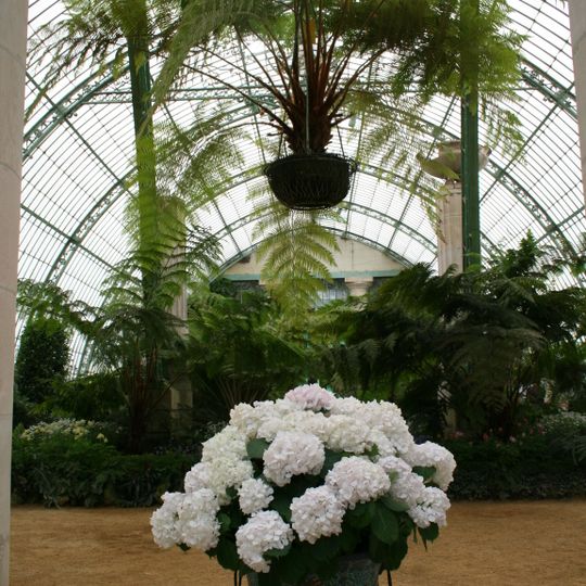 Königlichen Gewächshäuser von Laeken