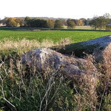 Falköpings östra 5:1