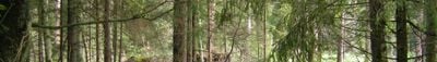 Panoramavy 3