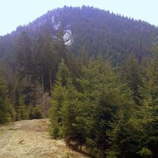 Sattelkopf