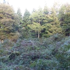 Roman period native settlement in Danefield Wood, 490m south west of Stubbings Farm