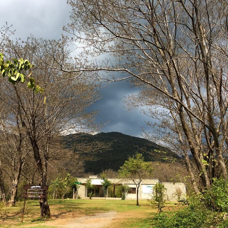 Trail 5 Margalla Hills