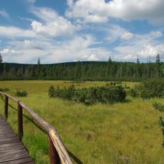 Rašeliniště Jizerky