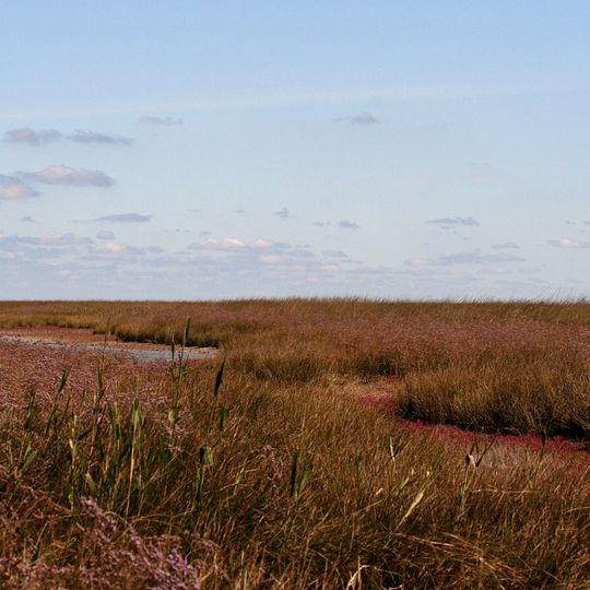 Byriuchyi Island