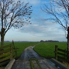 Eendenkooi Schipluiden