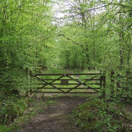 Broxbourne Woods