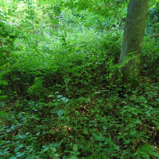 Westliches Hügelgraberfeld am Steinberg, Feldbach