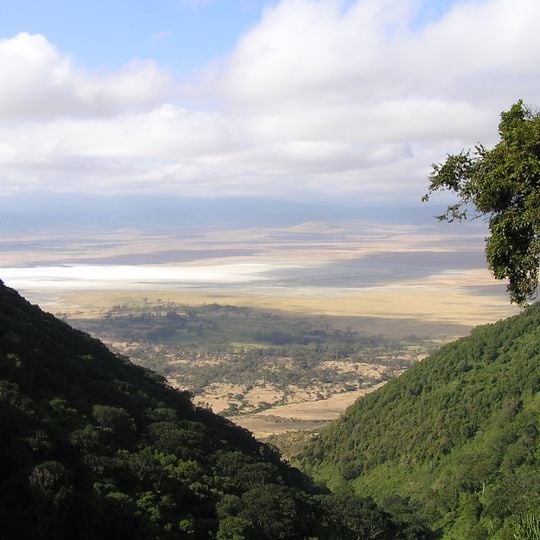 Area di conservazione di Ngorongoro