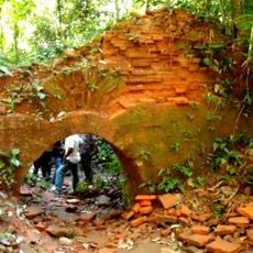 Chilapata Forests
