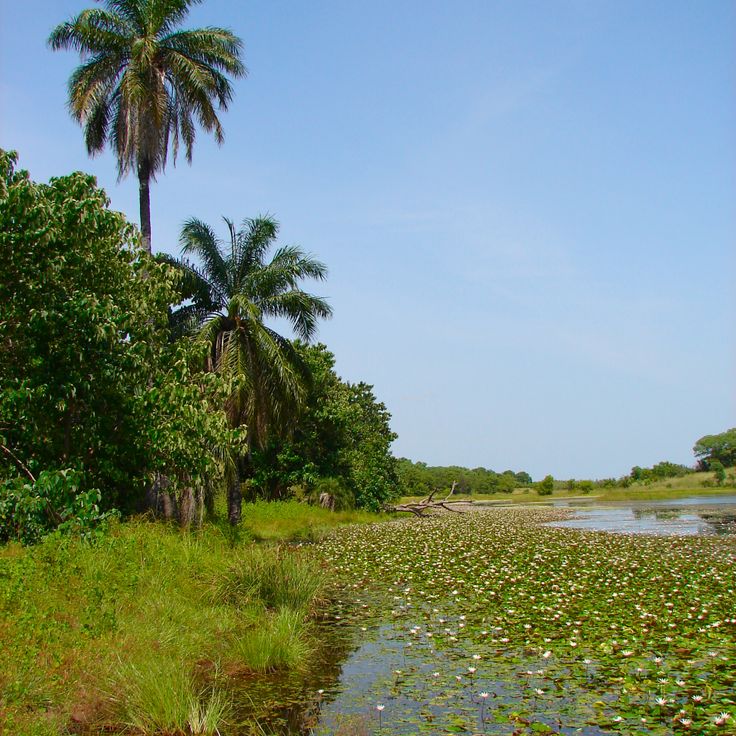 Kiang West National Park